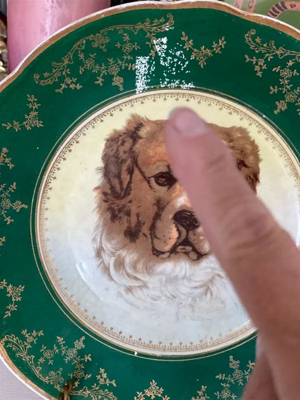 Antique Plate, Green and Gold Detail, St. Bernard