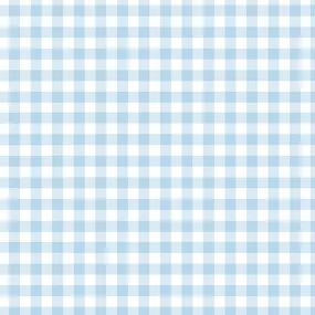 Baby Blue Gingham Folded Gift Wrap