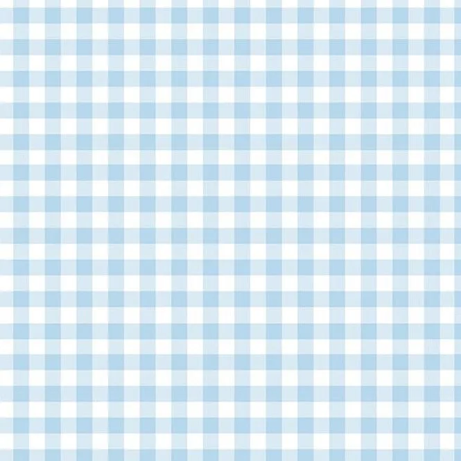 Baby Blue Gingham Folded Gift Wrap