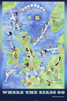 Bird Migration tea towel