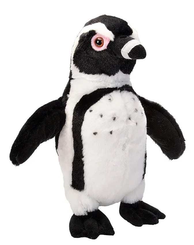 Black Footed Penguin Stuffed Animal - 12"