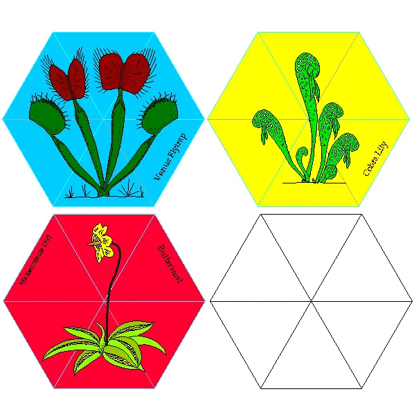 Carnivorous Plant Flexagon