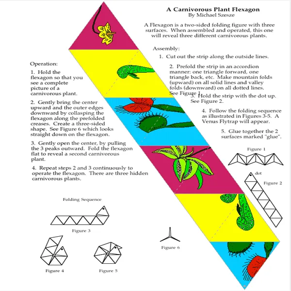 Carnivorous Plant Flexagon
