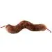 Diarrhea (Campylobacter jejuni) Giant Microbes Plush