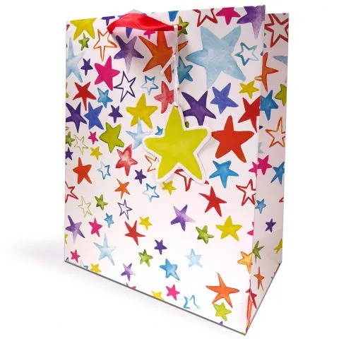 Gift Bag Large - Vertical Painted Stars