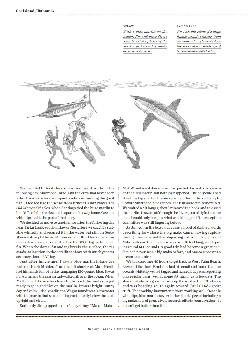 Guy Harvey's Underwater World
