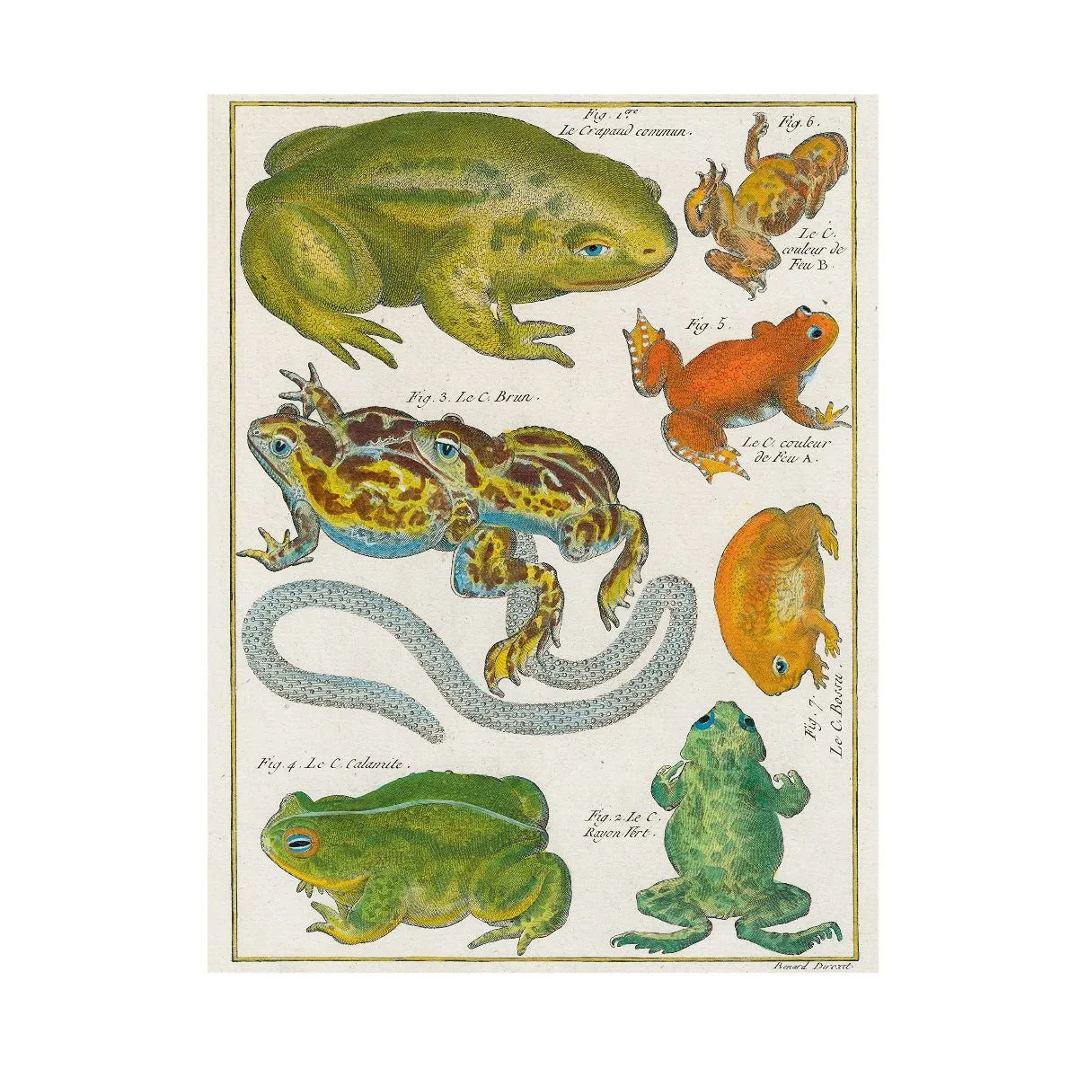 John Derian Wrapping Paper & Gift Tags Book