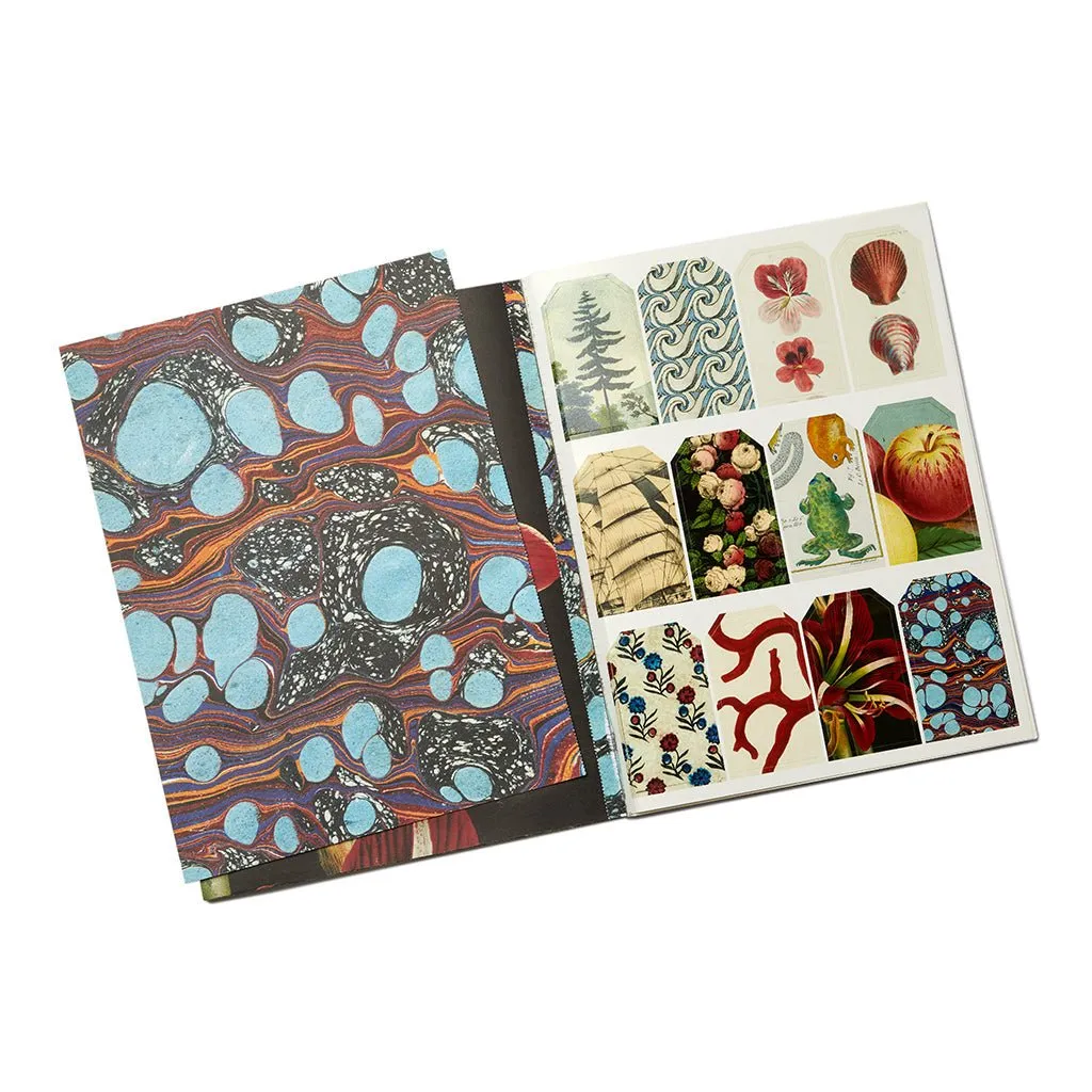 John Derian Wrapping Paper & Gift Tags Book