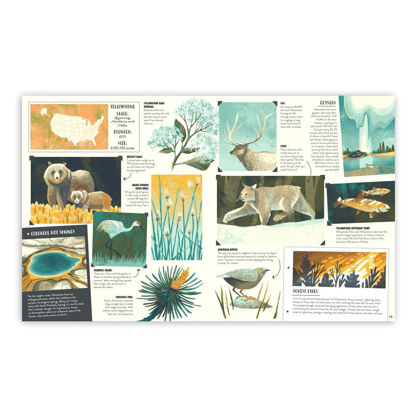 National Parks of the USA Book
