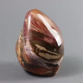 Petrified Wood, Madagascar - 4.6"