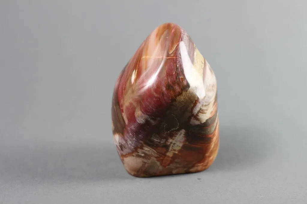 Petrified Wood, Madagascar - 4.6"