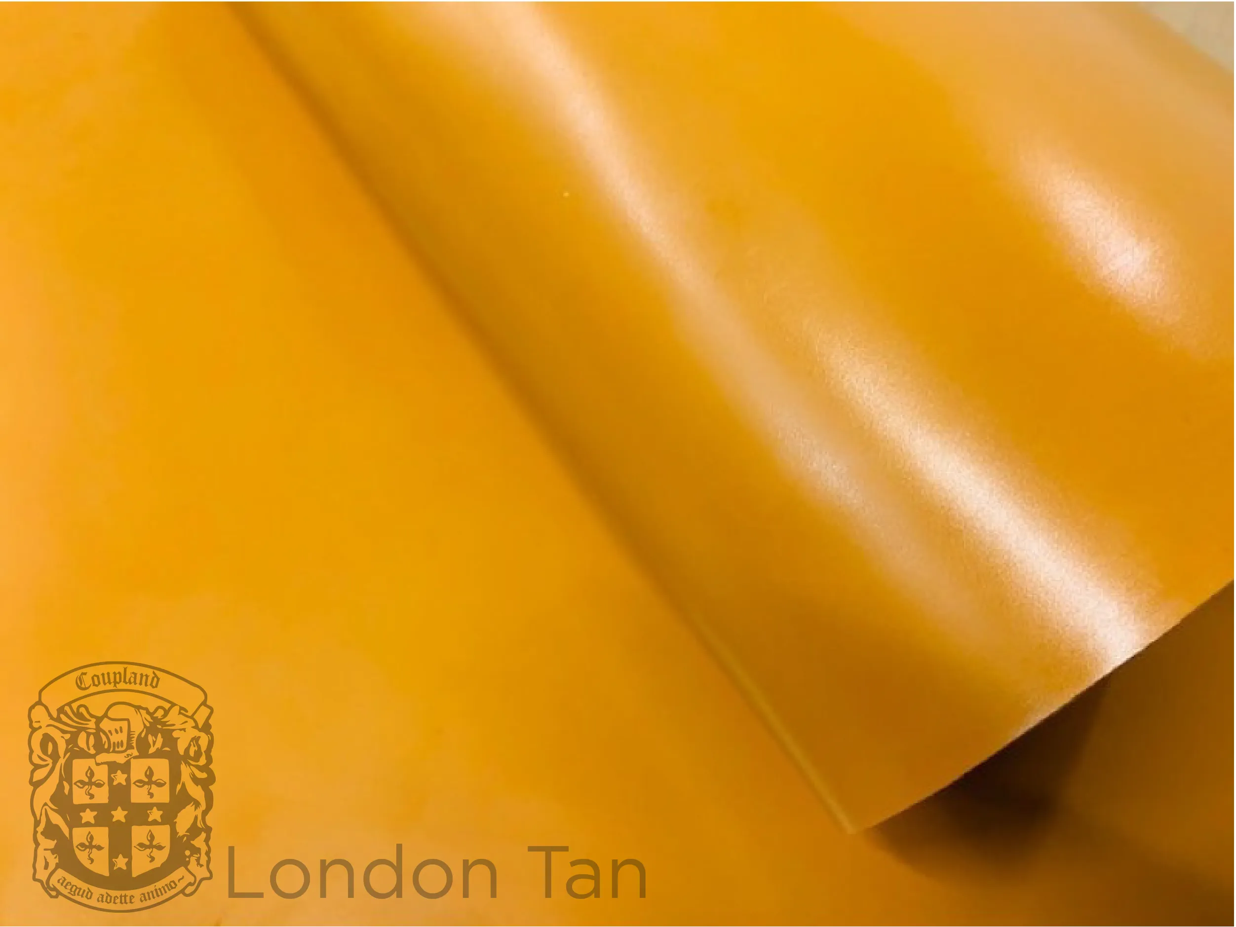 Shell Cordovan Leather Colour Options