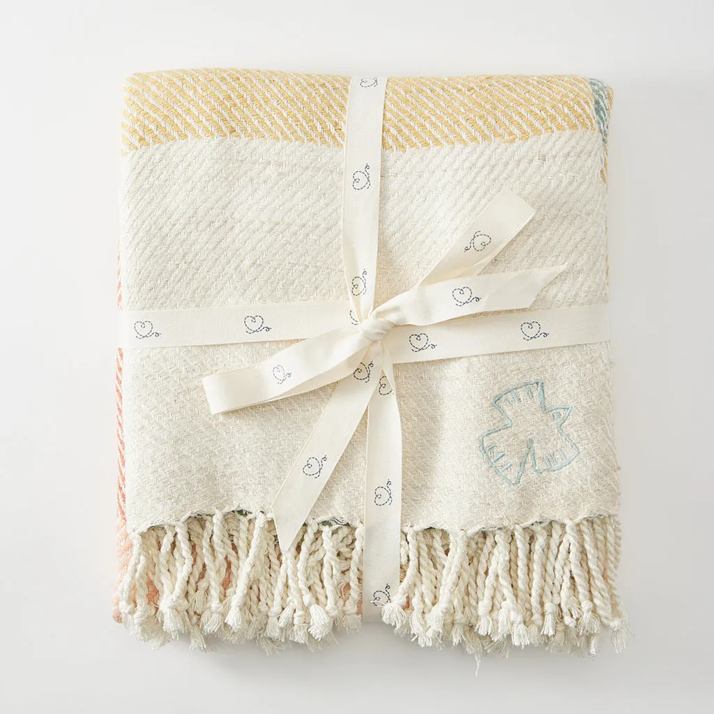 Silk Rainbow Chevron Throw