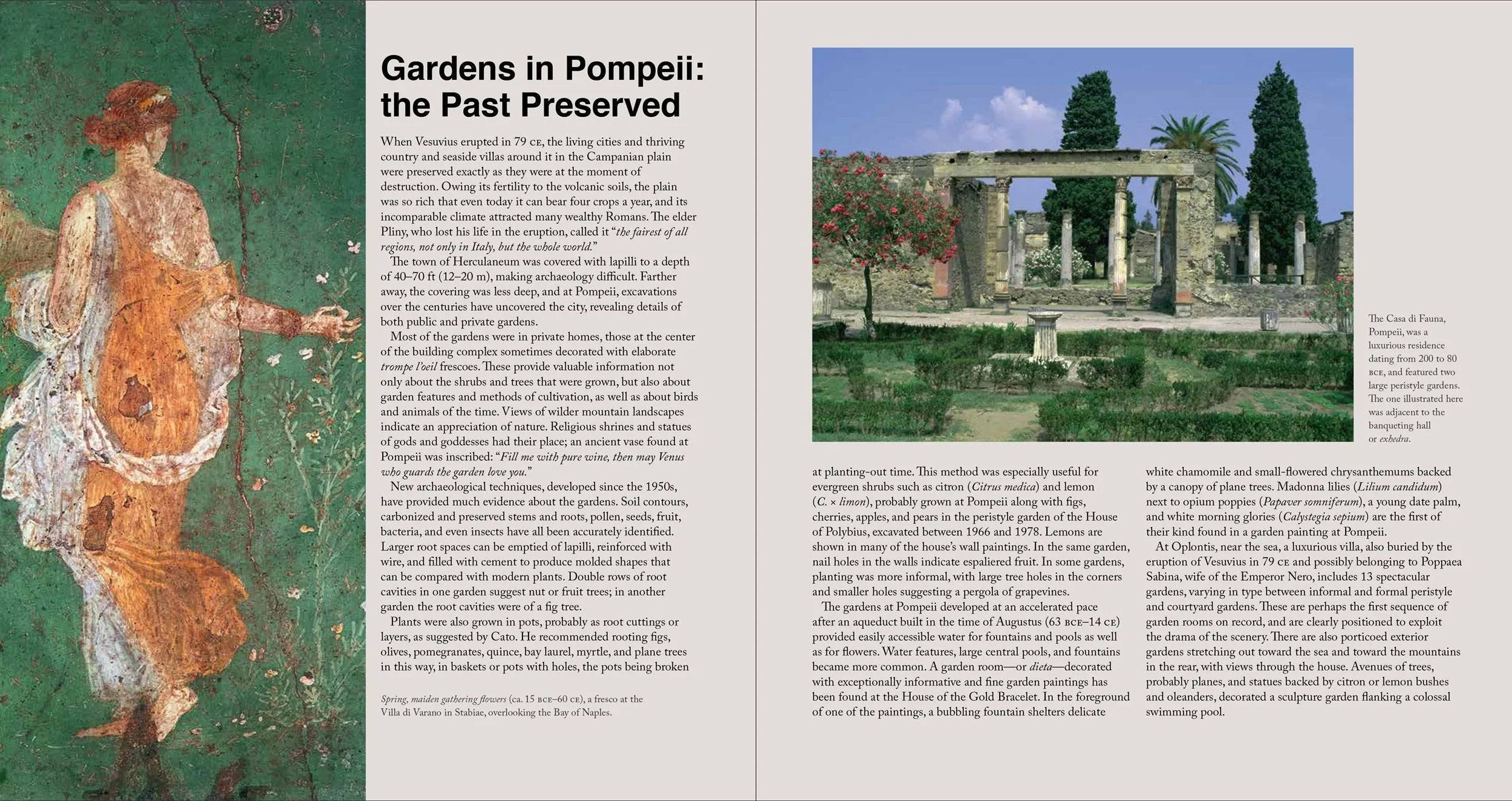 The Story of Gardening