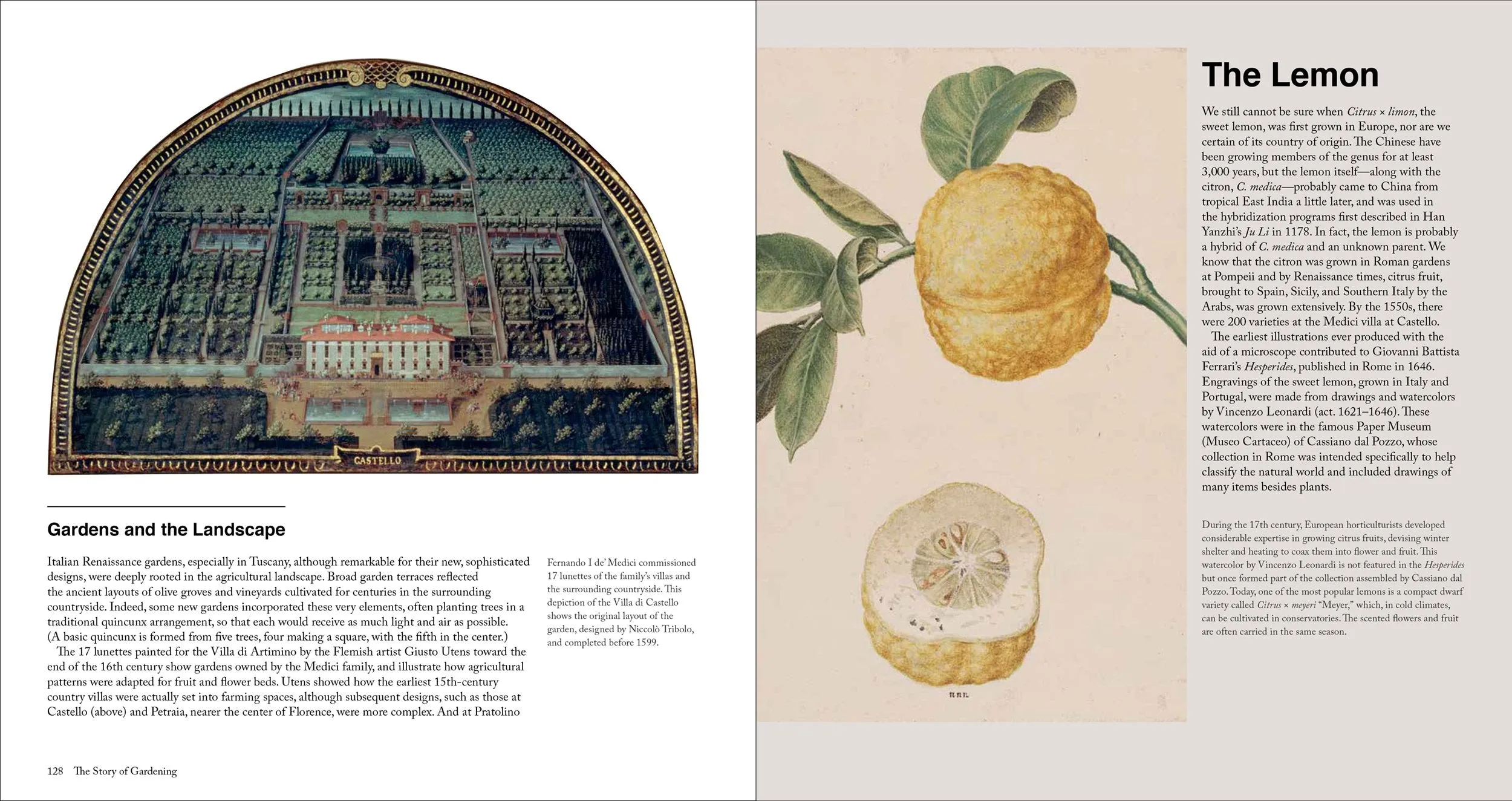 The Story of Gardening